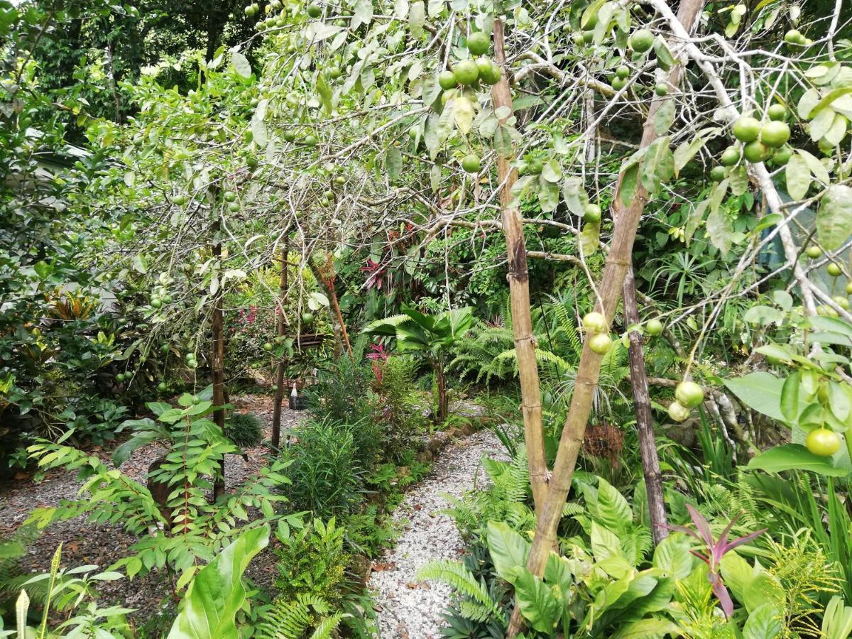 La Montanita Lodge Manuel Antonio Zewnętrze zdjęcie