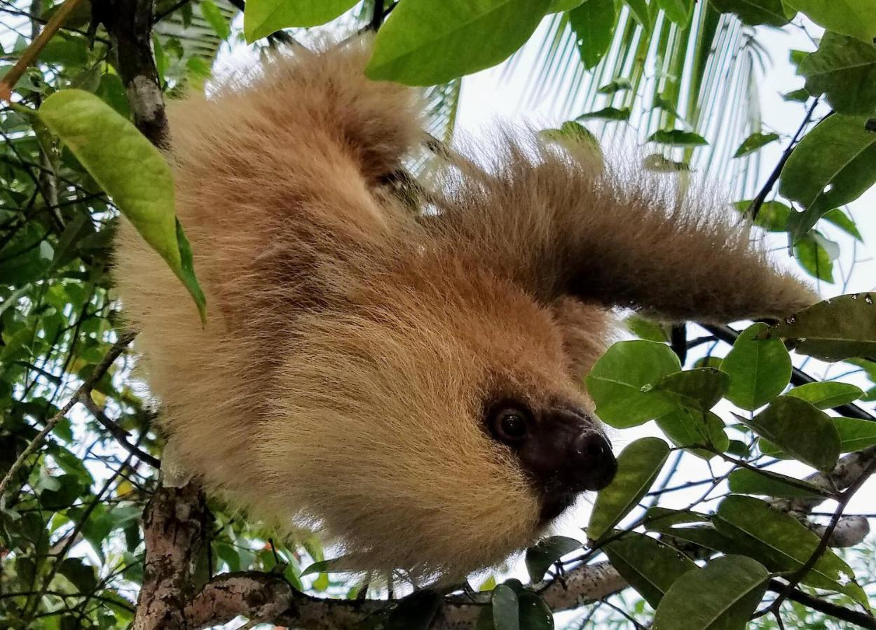La Montanita Lodge Manuel Antonio Zewnętrze zdjęcie