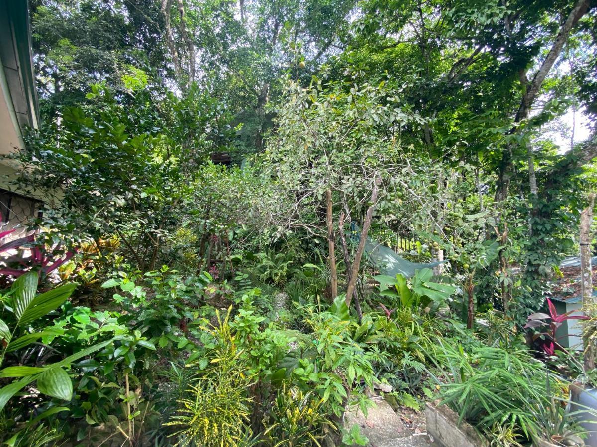 La Montanita Lodge Manuel Antonio Zewnętrze zdjęcie
