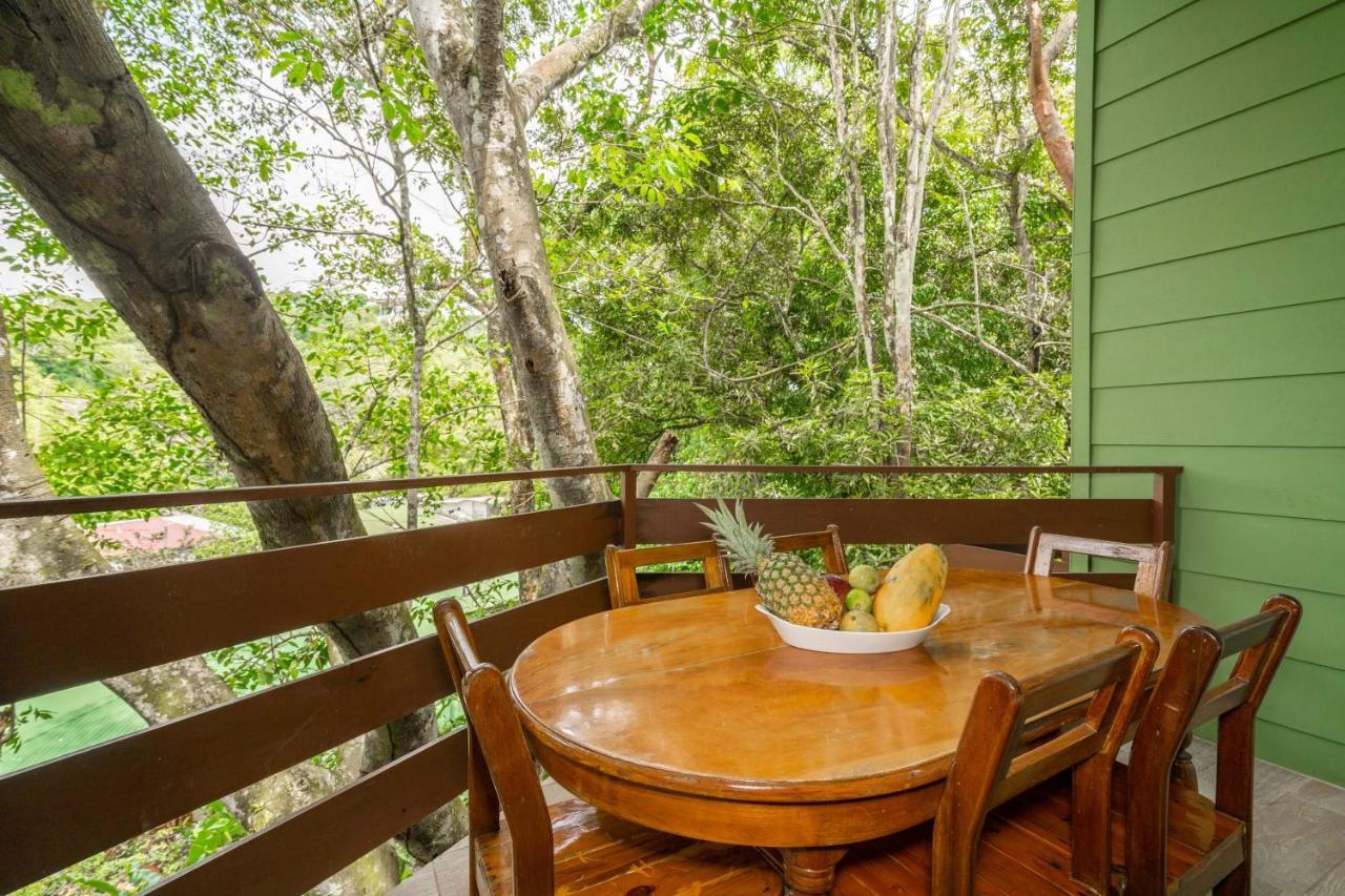 La Montanita Lodge Manuel Antonio Zewnętrze zdjęcie
