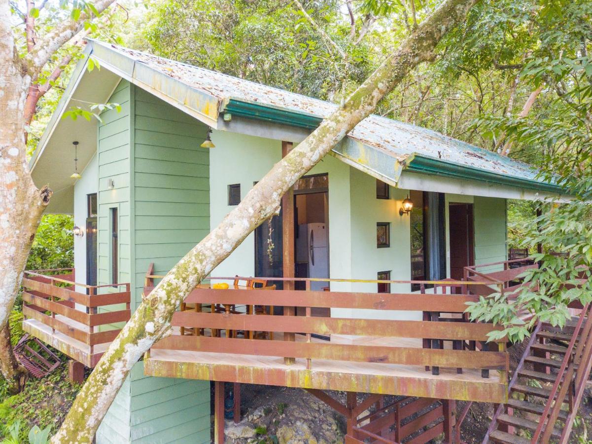 La Montanita Lodge Manuel Antonio Zewnętrze zdjęcie